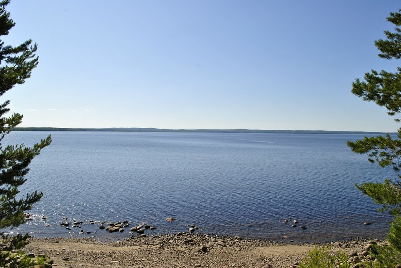 Дмитрий Павловский фотография #46