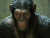 Фотография Orlowski Alexei