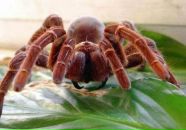 Віктор Галабурда фотография #32 (источник - https://vk.com/id66014510)