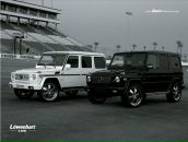 Серый Хондогій фотография #41 (источник - https://vk.com/id6611207)