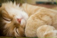 Фотография Ермолаевой Наталии