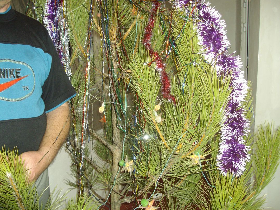 Дмитрий Муравьев фотография #45