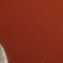 Діма Бричка фотография #20 (источник - https://vk.com/id137975523)