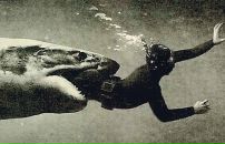 Фотография Руденко Насти