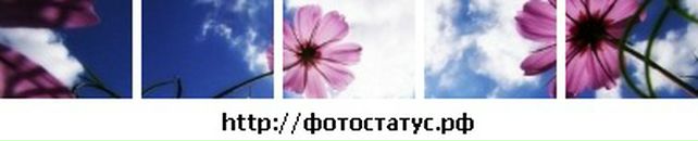 Інулька Канівець фотография #35 (источник - https://vk.com/id30880758)