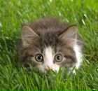 Фотография Ставицкой Василисы