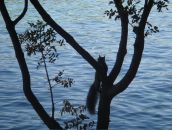 Фотография Шевцова Никиты