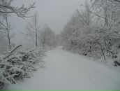 Міша Цубера фотография #19 (источник - https://vk.com/id57392013)