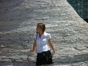 Фотография Венчик Венеры