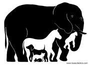 Фотография Miroshnichenko Anastasiya