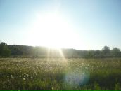 Фотография Маклаковой Марины