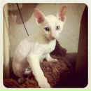 Иван Тагиров фотография #30 (источник - https://vk.com/id457755)