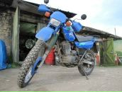 Фотография Писарева Дмитрия