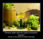 Андрій Дущак фотография #40 (источник - https://vk.com/id95316846)