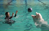 Фотография Бабушкина Мирослава