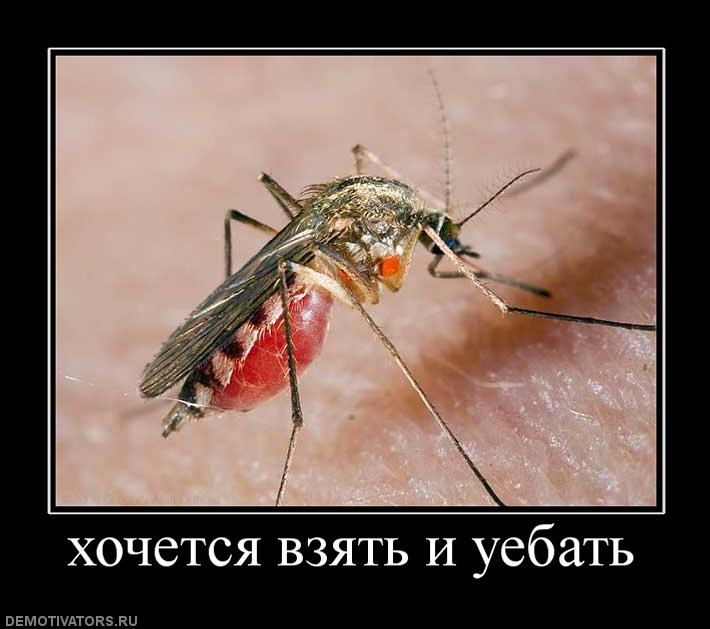 Сергей Левченко фотография #25