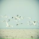 Фотография Булатовой Ирины