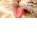 Настінька Каменскіх фотография #18 (источник - https://vk.com/id143328636)