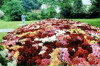 Сергій Зінько фотография #38 (источник - https://vk.com/id45228635)