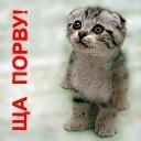 Арсен Галабіцький фотография #2 (источник - https://vk.com/id110570791)