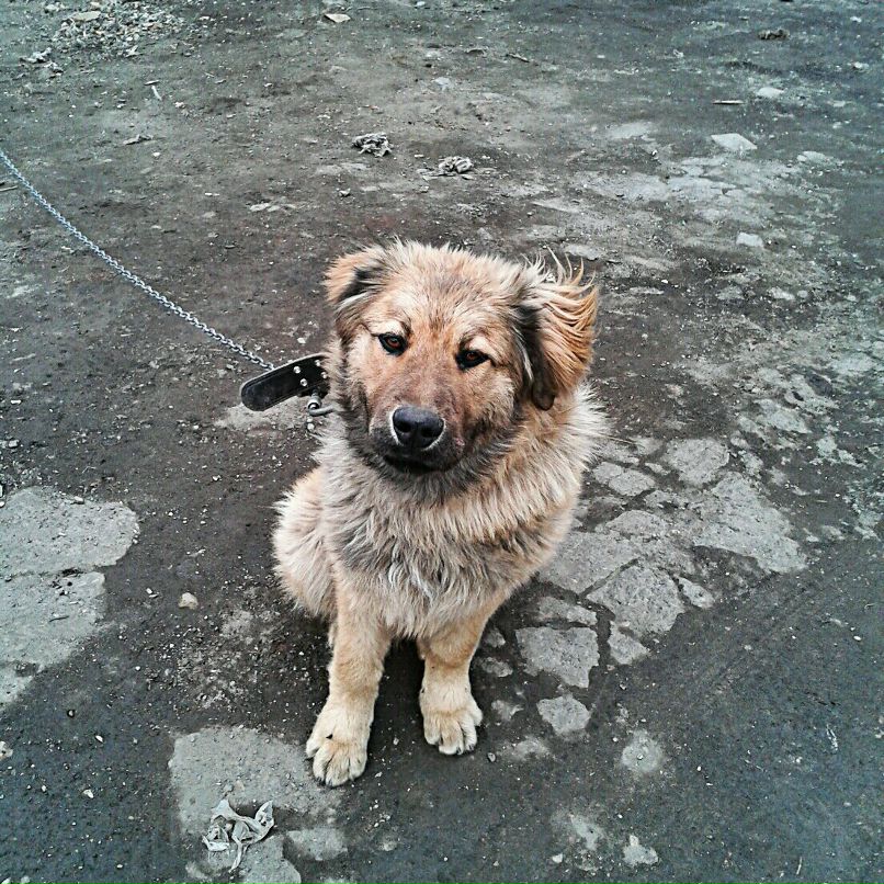 Григорий Рыков фотография #35