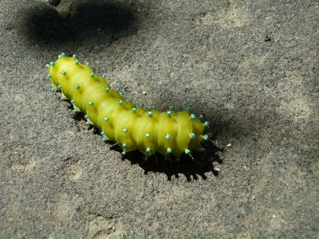 Николай Ткачев фотография #37