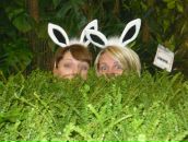 Фотография Амелиной Елены