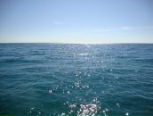 Фотография Кантеева Сергея