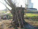 Коля Кучміч фотография #25 (источник - https://vk.com/id137901754)