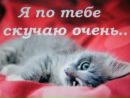 Ілля Подгорський фотография #6 (источник - https://vk.com/id137327744)