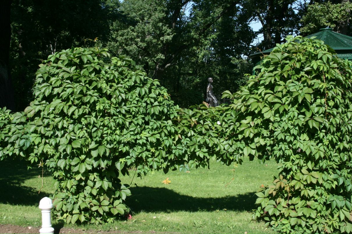 Валерия Святогорова фотография #49