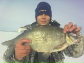 Фотография Полубелова Алексея