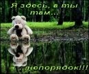 Діана Добровольська фотография #23 (источник - https://vk.com/id140238060)