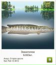 Сергій Ваксютенко фотография #15 (источник - https://vk.com/id133291802)
