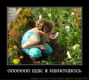 Виктория Сиволобова фотография #30 (источник - https://vk.com/id136415131)