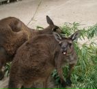 Фотография Ивановой Марии