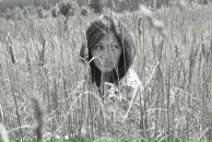 Фотография Смирновой Дарьи