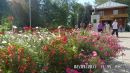 Фотография Расимбетовой Айсылу