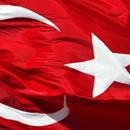 Mert Saygın фотография #1