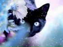 Фотография Новиковой Елены