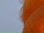 Танюшка Бєда фотография #37 (источник - https://vk.com/id134482007)