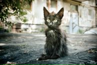 Фотография Барашкиной Настасьи