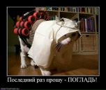 Даша_ Smile_in_rain фотография #33 (источник - https://vk.com/id69800007)