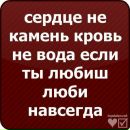 Андрій Понич фотография #3 (источник - https://vk.com/id329292228)