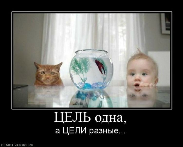 №8, Артем Поветкин, Москва, Россия №8, Артем Поветкин, Москва, Россия