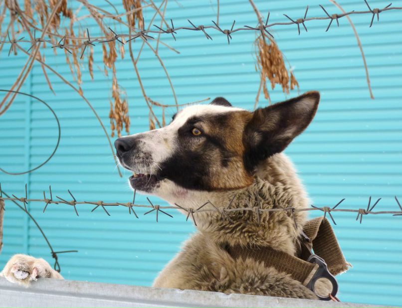 Барон Дэ фотография #10