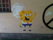 Фотография Чеботкова Романа