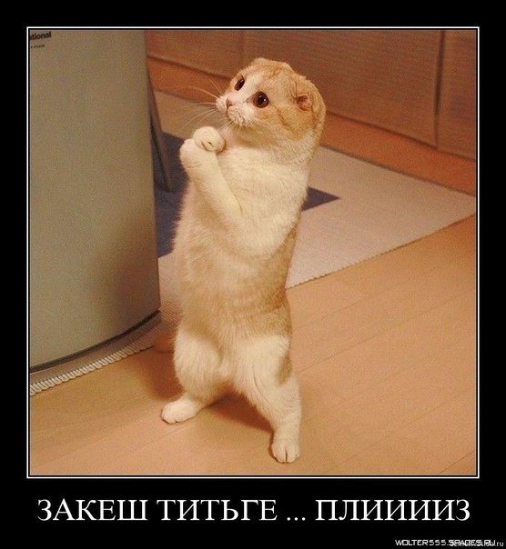 Серега Поляков фото №9