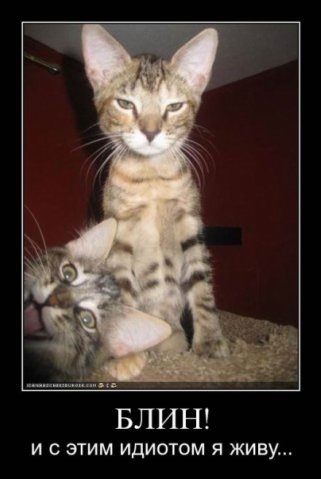 №15, Маргарита Давидович, Санкт-Петербург №15, Маргарита Давидович, Санкт-Петербург