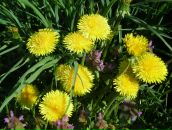 Ірина Ренкас фотография #18 (источник - https://vk.com/id26313642)